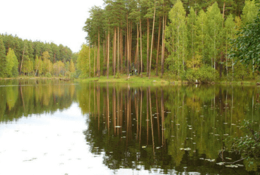 Калиновский лесопарк